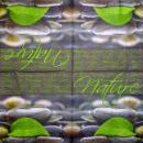 034 Plants - 3 ply - Home Fashion